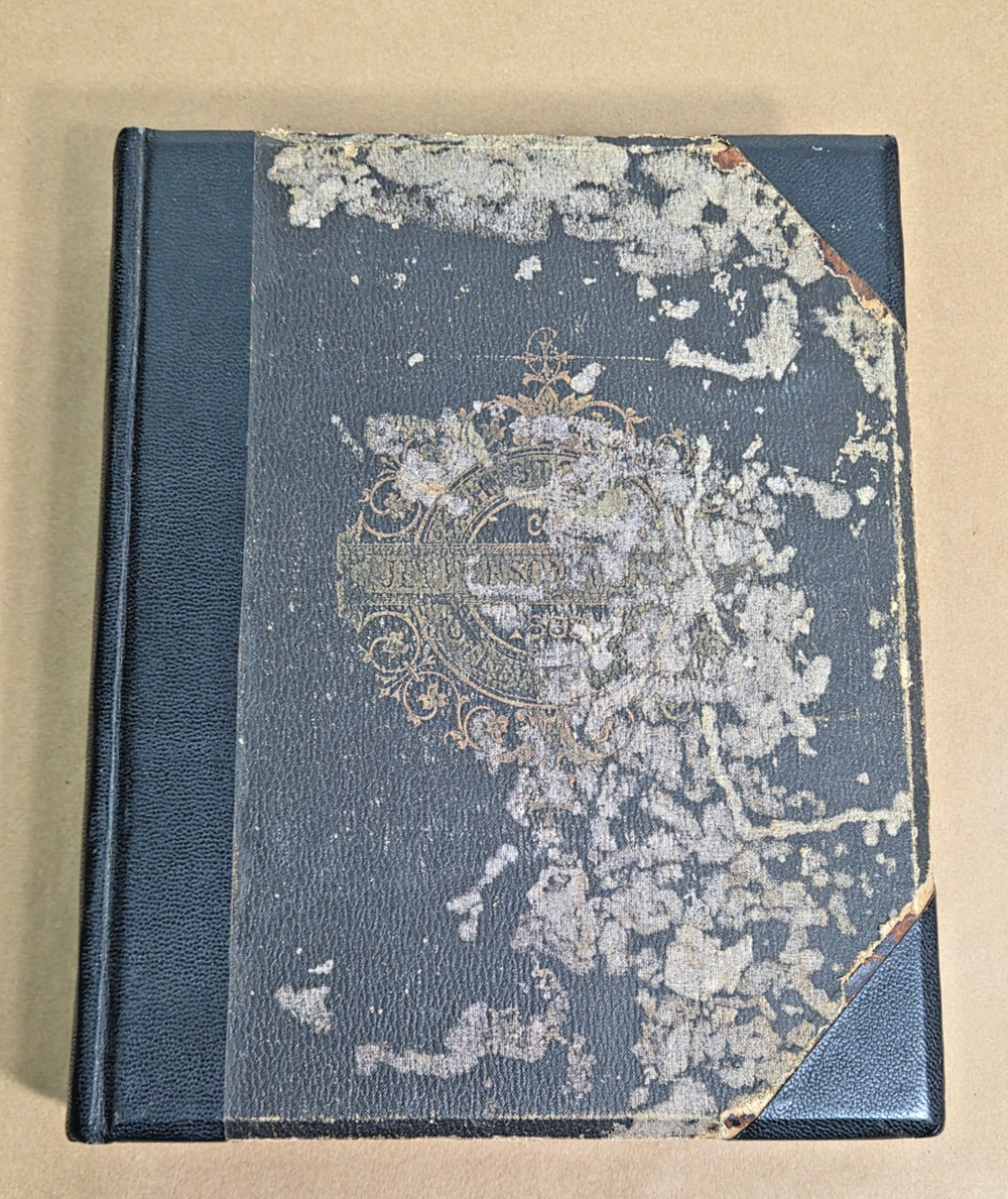1883 History of Jefferson County Illinois William Henry Perrin First Edition